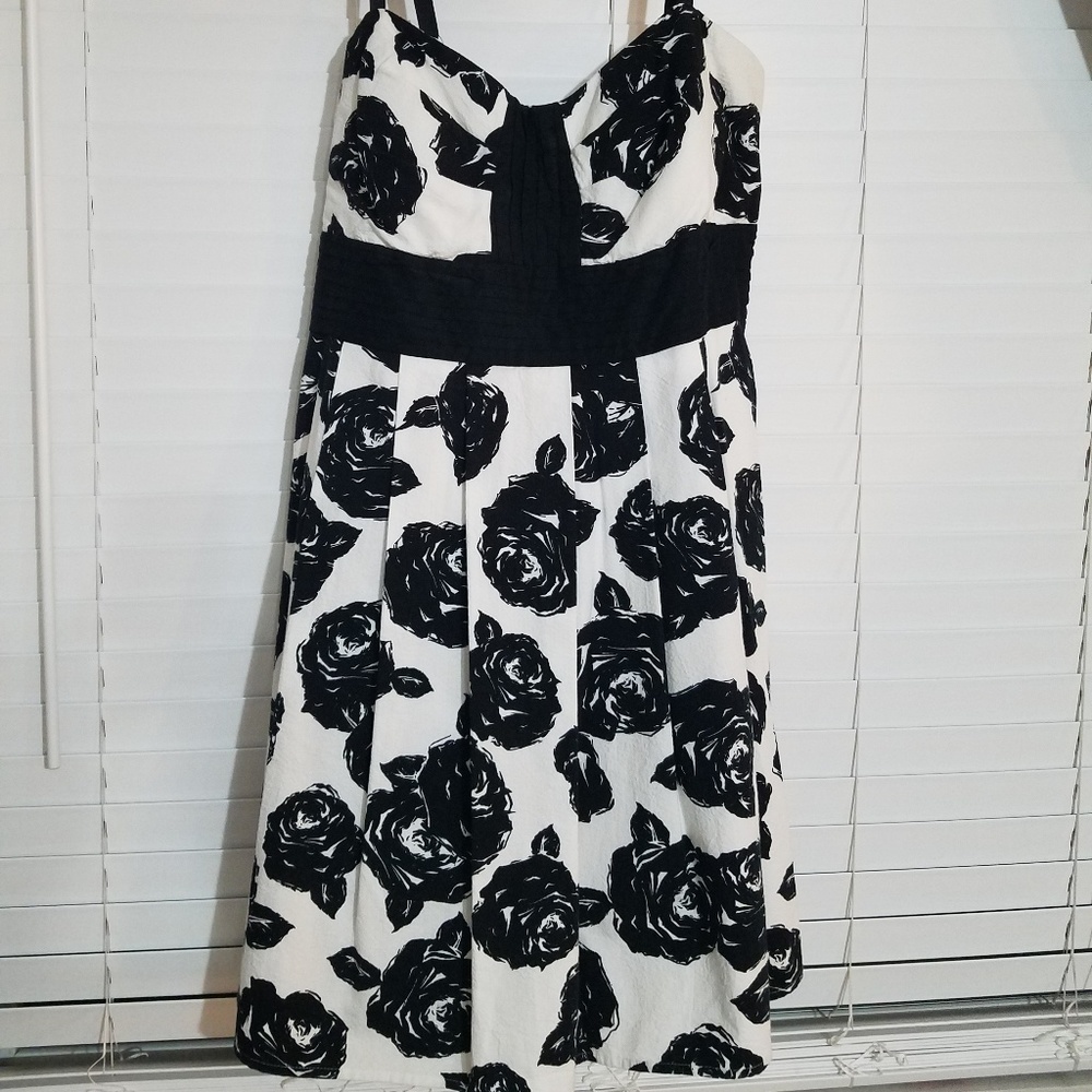 Torrid black and white dress